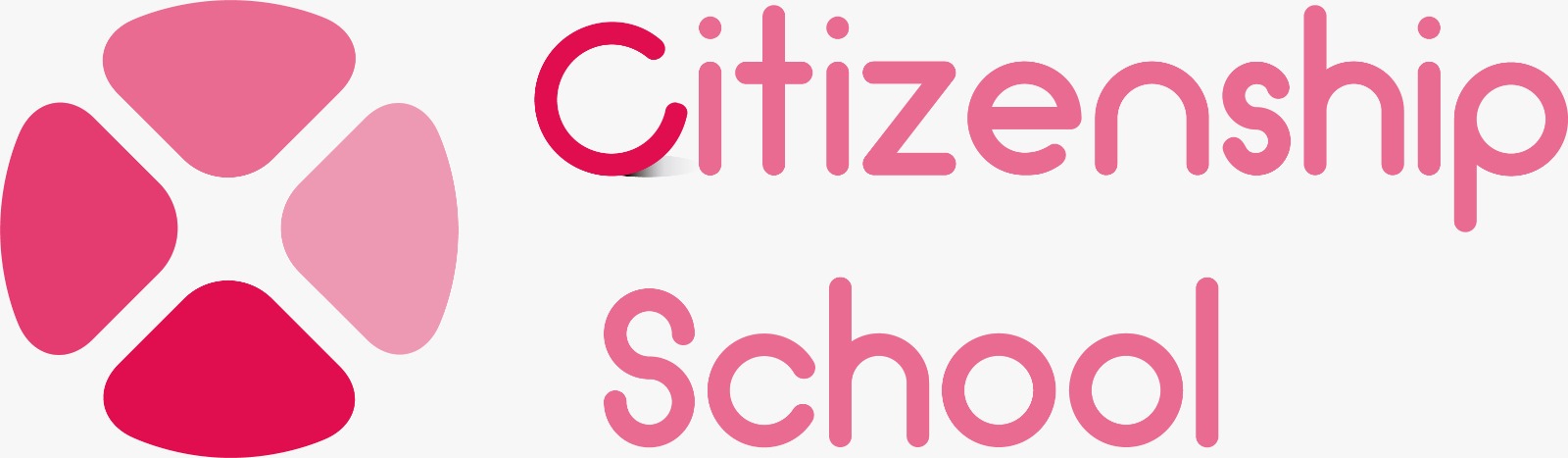 Citizenship Academy project